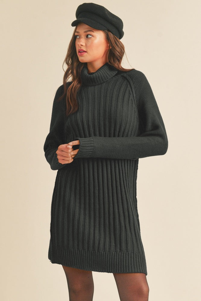 Umstands-Pulloverkleid mit Rollkragen in Schwarz