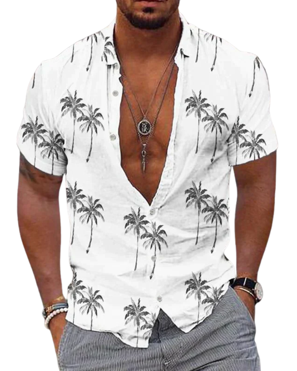 Hawaii Overhemd Heren Zomer